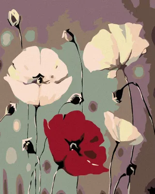 Produktbild von Zuty - Malen nach Zahlen - WEIßER SCHLAFMOHN MIT EINEM ROTEN, 40x50 cm, ohne Keilrahmen