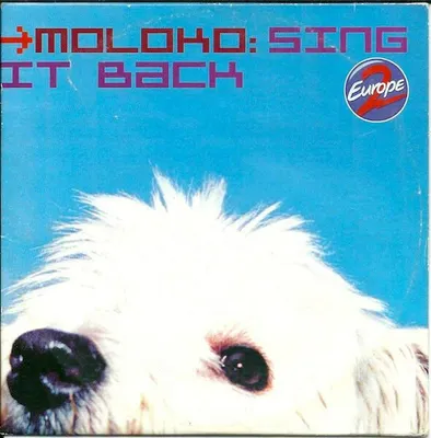 Produktbild von Sing It Back