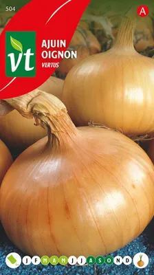 Obrázek produktu pro Cibule Vertus Semena - cca 4 gr | VT_504