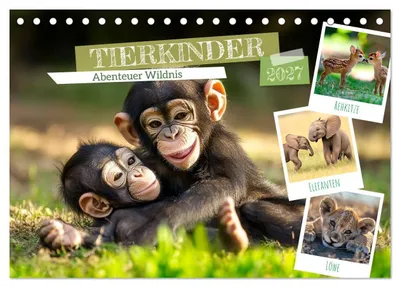 Produktbild von TIERKINDER Abenteuer Wildnis (Tischkalender 2027 DIN A5 quer), CALVENDO Monatskalender