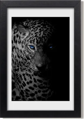 Produktbild von Bild 20x30 MDF-Rahmen, Wandkunst Leopard