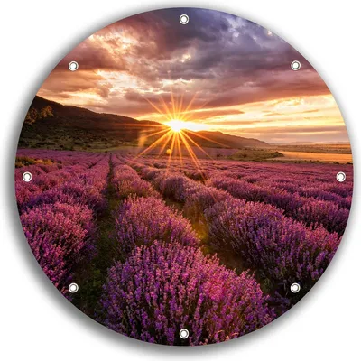 Produktbild von Wallario rundes Outdoor-Poster für Garten oder Balkon, Motiv Lavendelfeld bei Sonnenuntergang - Sonnenstrahlen, 30 cm Durchmesser