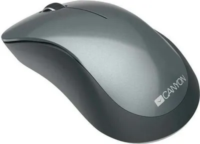 Produktbild von Canyon Maus MW-11 Wireless 3 Tasten Pixart Sensor black retail