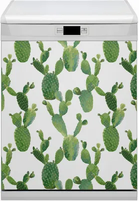 Obrázek produktu pro Magnety Dekorativní magnetická fólie do myčky 60x80 cm kuchyňská - Kaktusy malované