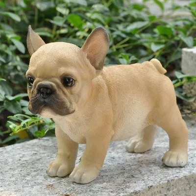 Produktbild von Dekofigur Gartenfigur Französische Bulldogge braun