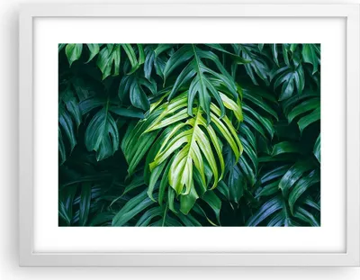 Produktbild von Gerahmtes Poster - Weißer Rahmen - Blume Natur - 40x30 cm - Wand Bild - Wanddeko - Wandbilder - Kunstposter - Wandposter - Bilderrahmen - Bilder - Kunstdruck - Wandbild - P2WAA40x30-3951