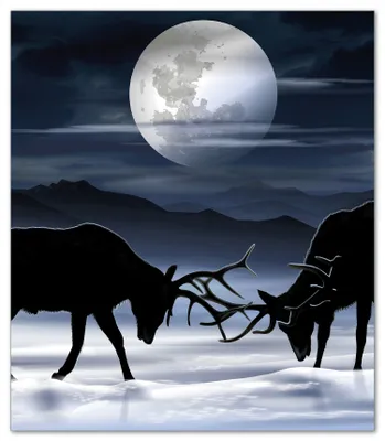 Produktbild von Wallario Herdabdeckplatte aus Glas, Größe 52 x 60 cm 1-teilig, Motiv Elch im Schnee bei Mondschein - Silhouette am Abend