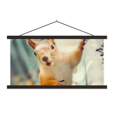 Produktbild von MuchoWow® Textilposter Eichhörnchen - Tier - Herbst - Porträt 150x75 cm mit schwarzem Rahmen - Posterleiste