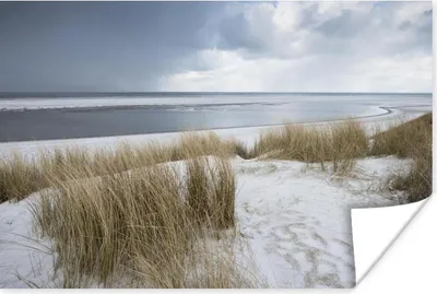 Produktbild von MuchoWow® Poster Nordsee - Dünen - Wasser 180x120 cm - Fotoplakat