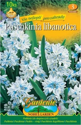 Immagine prodotto di Pushkin 10 pezzi