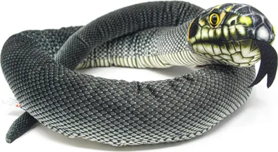 Immagine prodotto di Cornelissen - Peluche - Serpente d'erba - 150 cm