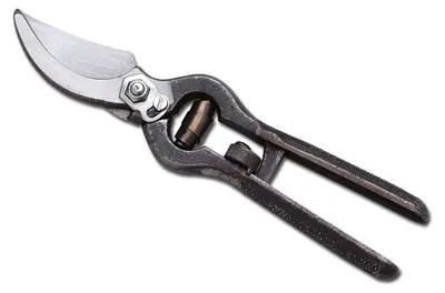 Produktbild von Gevogelteschaar – Professionelle Gartenschere, 23 cm – Schwarz, aus Schmiedestahl