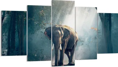 Produktbild von Bild auf Leinwand - Leinwandbild - elefant natur - 160x85cm - Wand Bild - Wanddeko - Wandbilder - Leinwanddruck - Bilder - Kunstdruck - Wanddekoration - Leinwand bilder - Wandkunst - EA160x85-3972