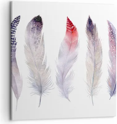 Produktbild von Bild auf Leinwand - Leinwandbild - Feder Tier Vogel Komposition - 60x60cm - Wand Bild - Wanddeko - Leinwanddruck - Bilder - Kunstdruck - Wanddekoration - Leinwand bilder - Wandkunst - AC60x60-2951