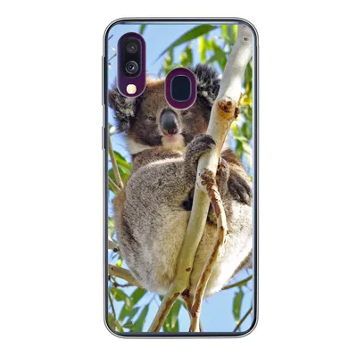 Produktbild von MuchoWow® Handyhülle Schutzhülle Hülle für Samsung Galaxy A40 Koala - Luft - Kinder - Jungen - Mädchen Silikon Softcase Handy Hülle - Handy-Tasche