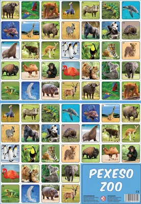 Immagine prodotto di Foto di animali dello zoo di Pexeso
