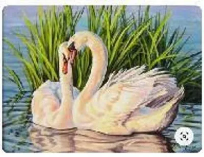 Obrázok produktu pre Obraz podľa čísel, Labuť, trstiny, 50x40 cm, umiestnený v ráme