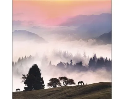 Produktbild von Glasbild Landscape At Morning 30x30 cm