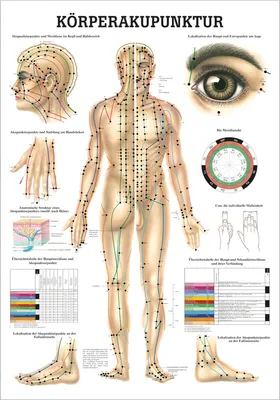 Produktbild von Körperakupunktur Lehrtafel Anatomie 100x70 cm medizinische Lehrmittel
