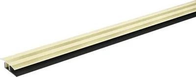 Produktbild von SKANDOR Übergangsprofil champagner eloxiert inkl. Clipschiene 11x34x900 mm