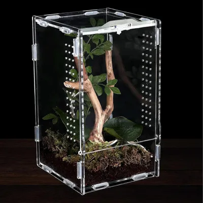 Produktbild von Terrarium Box Acryl, 12x12x20 cm, mit Pinzette, für Reptilien und Insekten