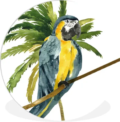 Produktbild von MuchoWow® Rundes Wandbild - Runde Bilder Dschungel - Papagei - Zweig Ø 90 cm Kreis Wanddekoration Kunststoff - Wandkreis - Wandschmuck - Wand-Kreis - Wohnzimmer - Bild - Runde - Wanddeko - Dibond - Kunstdrucke