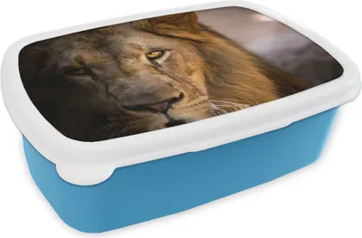 Obrázok produktu pre KitchenYeah® Lunchbox Box na desiatu 17x11 cm Lions - Profil - Farby Detský box na desiatu - Obed - Plastový - Chlebová plechovka - Box na sendvič - Box na desiatu pre deti