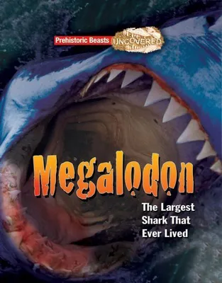 Produktbild von Megalodon