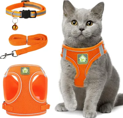 Produktbild von Verstellbares Kattengeschirr mit Reflektor für kleine Katzen und Tiere - Antifluggeschirr