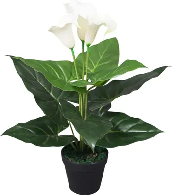 Zdjęcie produktu dla Sztuczna kalia z doniczką, 45 cm, biała