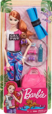 Obrázek produktu pro Mattel BRB WELLNESS PANENKA ASST