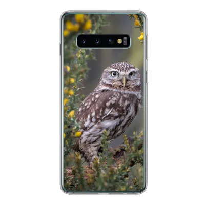 Produktbild von MuchoWow® Handyhülle Schutzhülle Hülle für Samsung Galaxy S10 Eine kleine braune Eule sitzt da und starrt nach vorne Silikon Softcase Handy Hülle - Handytasche