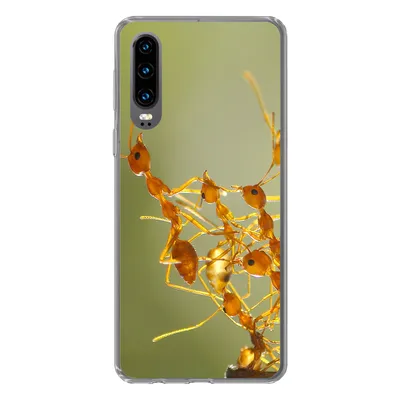 Produktbild von MuchoWow® Handyhülle Schutzhülle Hülle für Huawei P30 Ameisen - Orange - Tiere Silikon Softcase Handy Hülle - Kartenbesitzer