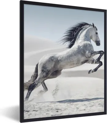 Produktbild von MuchoWow® Gerahmtes Poster Pferd - Tiere - Sand - Natur 60x80 cm - Poster mit Schwarzem Bilderrahmen Wandposter Rahmen Foto Bilder - Premium - Wanddeko Wohnzimmer