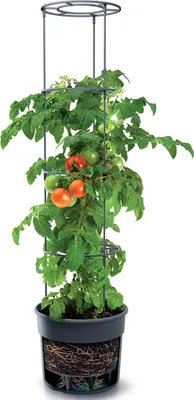 Zdjęcie produktu dla Doniczka do pomidorów 15L antracyt Ipom350-S433