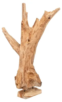 Produktbild von Teak Deko Objekt POTONGAN ca. H120-140cm Aquariumholz