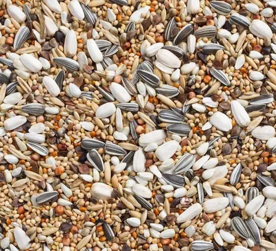 Productafbeelding van Deli Nature Grote Parkiet met zonnepitten 69 20KG