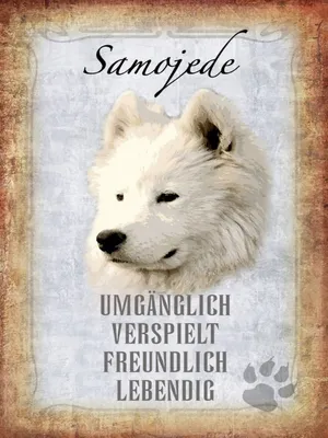 Produktbild von vianmo Holzschild 40x30 cm Samojede Hund