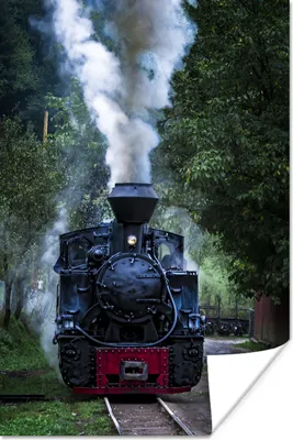 Produktbild von MuchoWow® Poster Eine Dampflokomotive in den grünen Wäldern 40x60 cm - Plakate für die Wand - Poster Babyzimmer