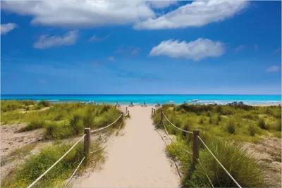 Produktbild von Wallario Poster - Sandweg zum blauen Meer mit blauem Himmel, Kunstdruck Größe: 100 x 150 cm