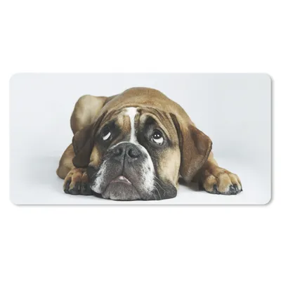 Produktbild von MuchoWow® Mauspad Mousepad Hund - Haustiere - Weiß 60x30 cm - Mousepads - Maus Mat - Pad - Mausunterlage - Nachhaltig