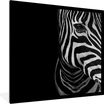Produktbild von MuchoWow® Gerahmtes Poster Tiere - Zebra - Schwarz - Weiß 40x40 cm - Poster mit Schwarzem Bilderrahmen Wandposter Rahmen Foto Bilder - Mit Rahmen - Wanddekoration Schlafzimmer