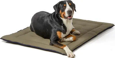 Produktbild von gepolsterte Wendedecke 130 x 90 cm, dunkelblau/oliv bei 95°C waschbar für Hunde