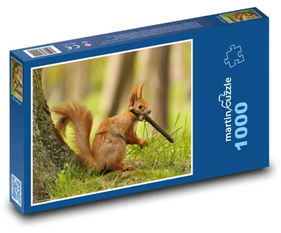 Zdjęcie produktu dla martinpuzzle - Puzzle 1000 elementów - Veverka