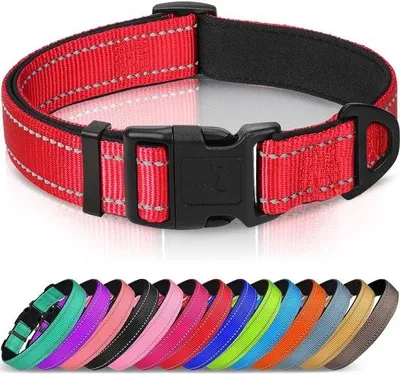 Produktbild von Famanu Hundehalsband mit Sicherheitsverschluss - Reflektierende, verstellbare Halsband für kleine Hunde, rot