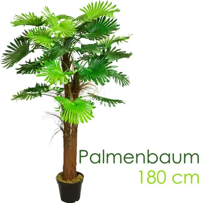Image de Palmier Tallipot Rônier Plante Arbre Artificielle Artificiel Plastique 180cm Decovego