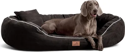 Produktbild von tierlando® Orthopädisches Hundebett MARLON VISCO PLUS Velours - Größe: 170x110cm | Farbe: 03 Schwarz
