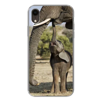 Produktbild von MuchoWow® Handyhülle Schutzhülle Hülle für iPhone XR Elefant - Tiere - Gras - Natur Silikon Softcase Handy Hülle - Schutzdeckel