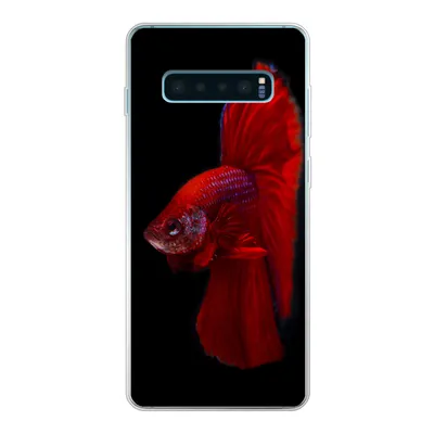 Produktbild von MuchoWow® Handyhülle Schutzhülle Hülle für Samsung Galaxy S10 Plus Fische - Tiere - Rot Silikon Softcase Handy Hülle - Schutzhülle
