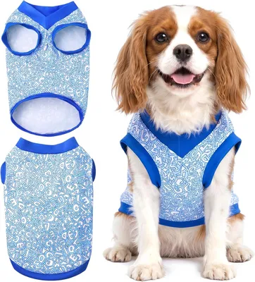 Produktbild von Hundekühlweste, atmungsaktiv, blau, für Spaziergang